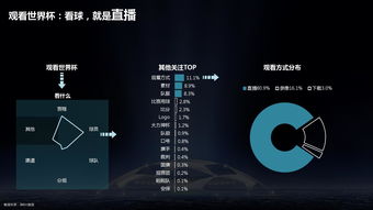 互聯(lián)網(wǎng)數(shù)據(jù)中心與199it 數(shù)字時(shí)代的基石與服務(wù)先鋒